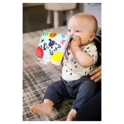 Baby Einstein Curious Explorers Teether Book -Toy Shop baby einstein curious explorers teether book 4