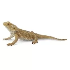 Collecta Bearded Dragon Figure
