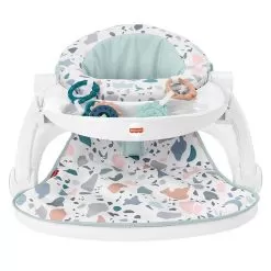Fisher Price Sit Me Up Floor Seat Pacific Pebble