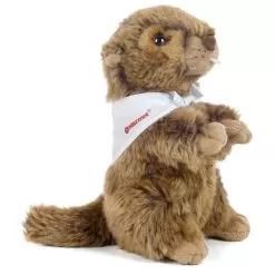 Marmot Marv