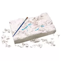 Moses Original Luminous Skeleton To Dig 2 Assorted -Toy Shop moses original luminous skeleton to dig 2 assorted 4