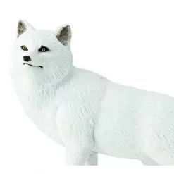 Arctic Fox Figure 7 Arctic Fox Figure -Toy Shop safari ltd arctic fox figure 3