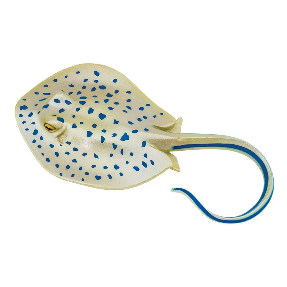 Blue Spotted Ray Figure 2 Blue Spotted Ray Figure - Image 2