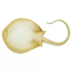 Blue Spotted Ray Figure 6 Blue Spotted Ray Figure -Toy Shop safari ltd blue spotted ray figure 2