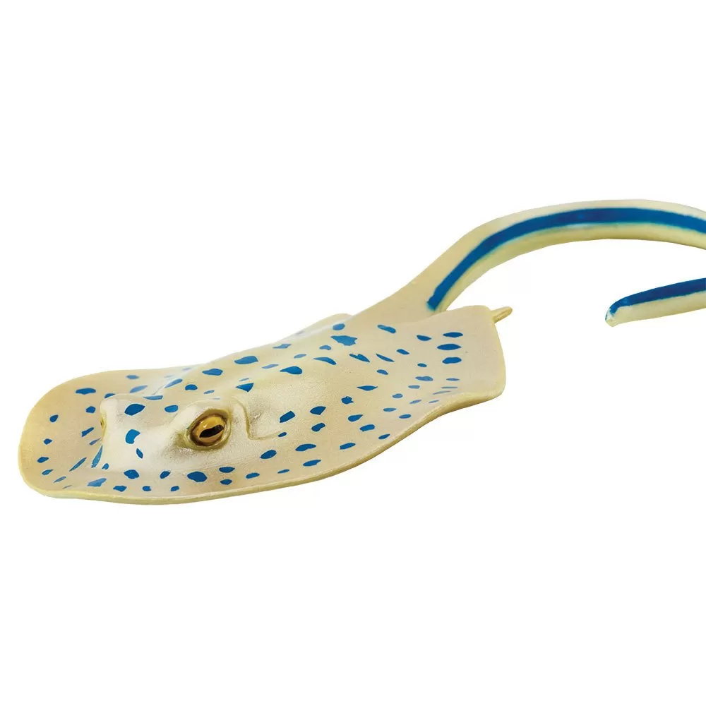 Blue Spotted Ray Figure 4 Blue Spotted Ray Figure - Image 4