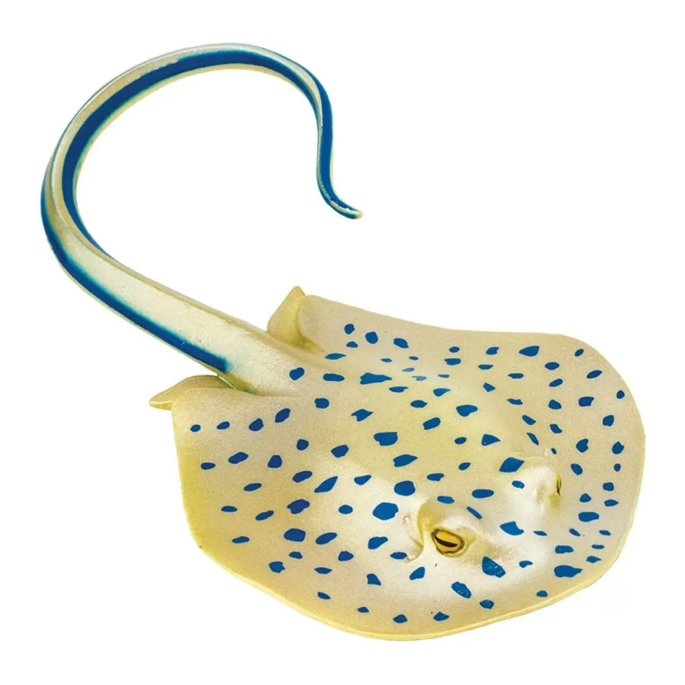 Blue Spotted Ray Figure 1 Blue Spotted Ray Figure
