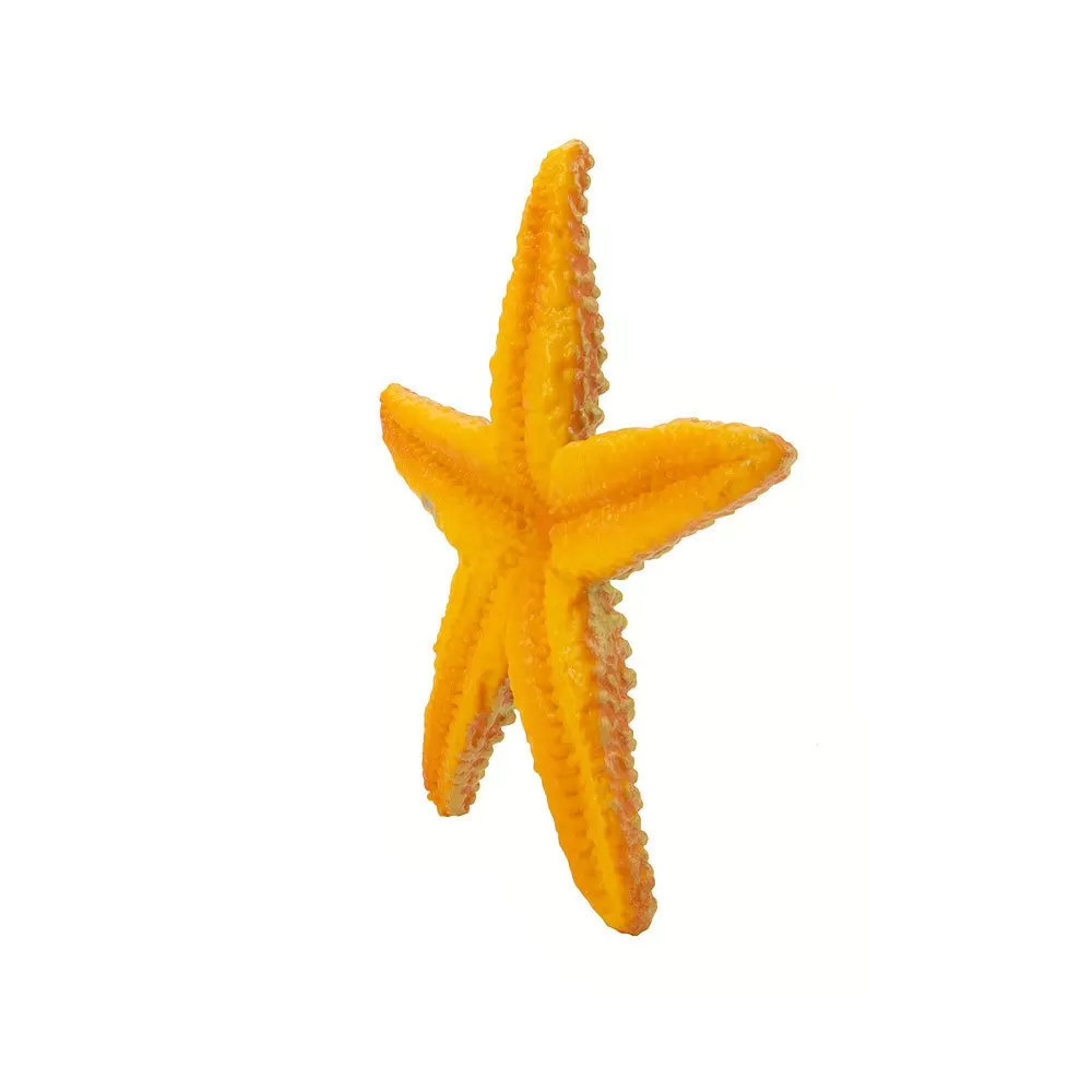 Starfish Sea Life Figure 2 Starfish Sea Life Figure - Image 2