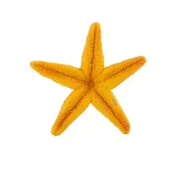 Starfish Sea Life Figure 8 Starfish Sea Life Figure -Toy Shop safari ltd starfish sea life figure 3