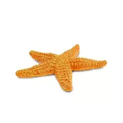 Starfish Sea Life Figure 9 Starfish Sea Life Figure -Toy Shop safari ltd starfish sea life figure 4