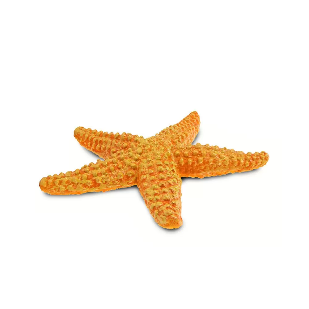 Starfish Sea Life Figure 5 Starfish Sea Life Figure - Image 5