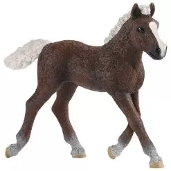Schleich Farm World Black Forest Foal Figure