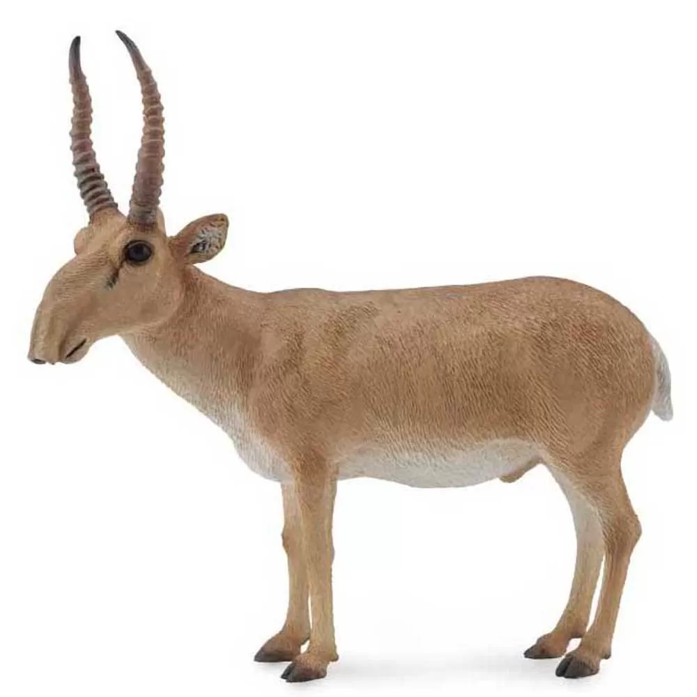 Antilope Saiga Figure 1 Antilope Saiga Figure
